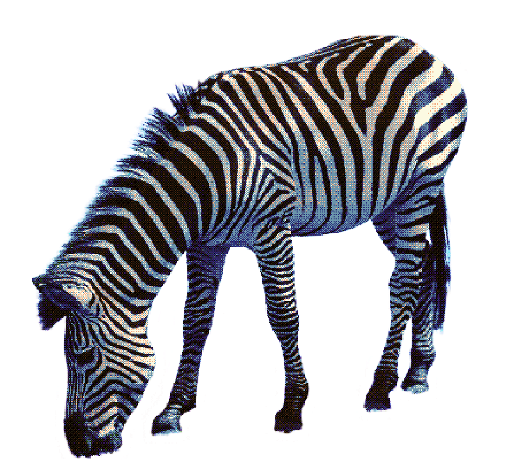 zebrafloat